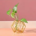 thumbnail image 4 of Golden Glass Vase Terrarium Geometric Iron Line Vase Hydroponic Plant Flower Vase Metal Plant Holder Home Decor Modern, 4 of 5