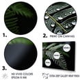 thumbnail image 3 of Designart "Winter'S Enchantment Of Ferns" Ferns Floater Framed Wall Decor, 3 of 5