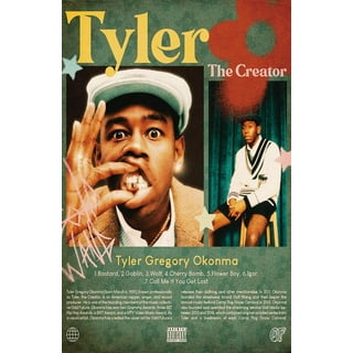 Tyler The Creator 'Aesthetic Flower Boy Collage' Poster – Posters Plug