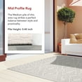 thumbnail image 5 of nuLOOM Cari Moroccan Tribal Indoor/Outdoor Area Rug, 9' 6" x 12', Cari Grey, 5 of 11