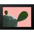 thumbnail image 2 of Lewis, Sheldon 24x18 Black Modern Framed Museum Art Print Titled - Cactus Slice 1, 2 of 5