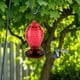 thumbnail image 4 of Colibrí alimentador de agua fuente colgante con flores y pájaros rojo, 4 of 6