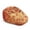 Fall Autumn Maple Leaf, variant on Aplkyhs Ivy Newsboy Cap Pumpkin Skeleton for Memorial Day Outdoor Use for Men and Women Quick dry UV protection, stretch comfortable fit, suitable for parades and fishing Halloween Christmas
