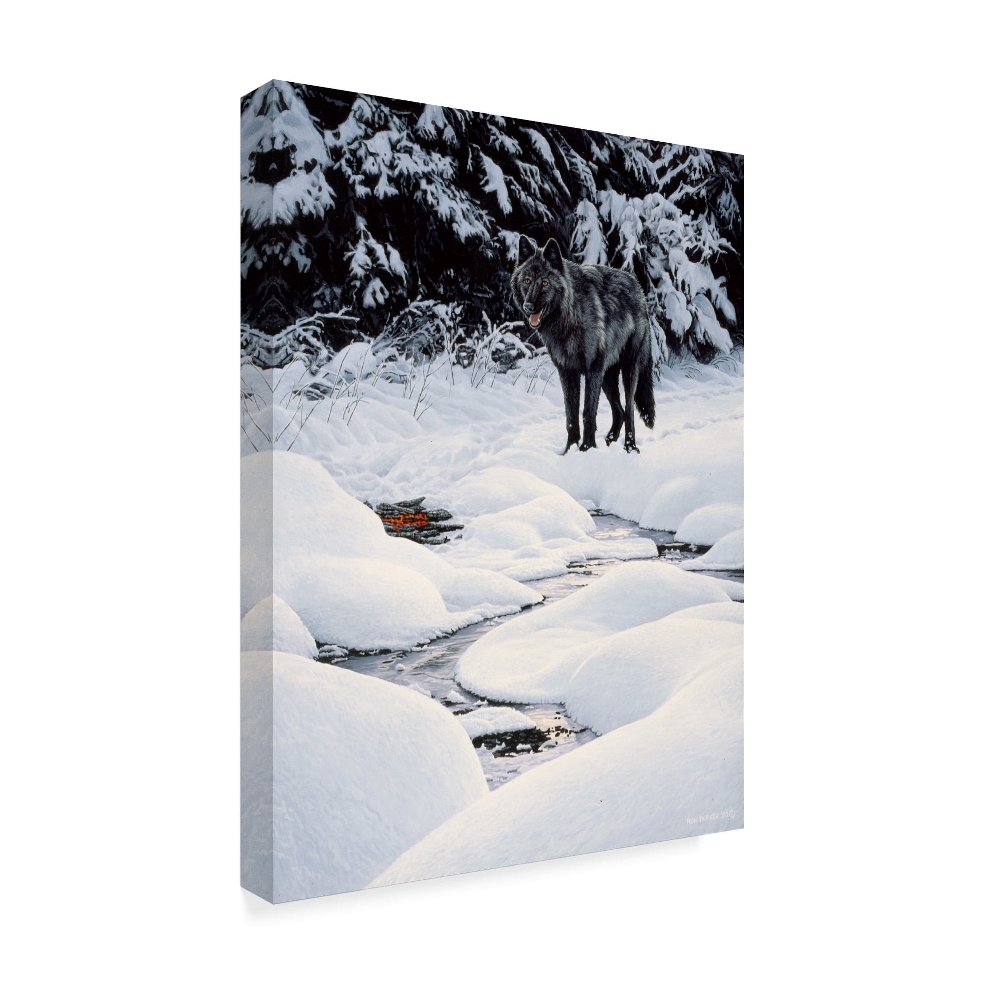 Trademark Fine Art 'Black Wolf And Embers' Canvas Art by Ron Parker