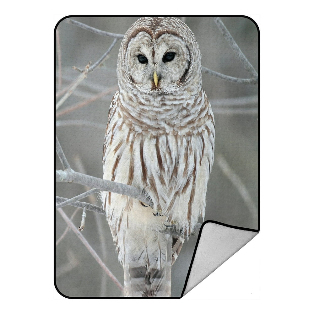 GCKG White Cute Owl Perch On Tree Fleece Blanket Crystal Velvet Front