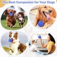 thumbnail image 5 of Indestructible Squeaky Dog Balls for Aggressive Chewers,Rubber Dog Chew Toy for Large Medium Breeds, Outdoor Waterproof , Interactive Dog Toys to Keep Them Busy(4 Colors), 5 of 8