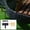 Black, variant on Garden Edging Kits,No-Digging Garden Plastic Fences with 30 Gray Stakes Landscaping Border for Flower Beds,Yards,Lawns (25ft Length)