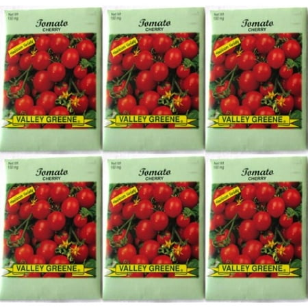 Valley Greene (6 Pack) 150 mg/Package of Cherry Tomatoes Heirloom Variety (Best Tomato Varieties For Florida)