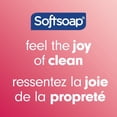 thumbnail image 4 of Softsoap Moisturizing Body Wash and Shave Gel, Creamy Strawberry Scent, 591 mL, 4 of 4