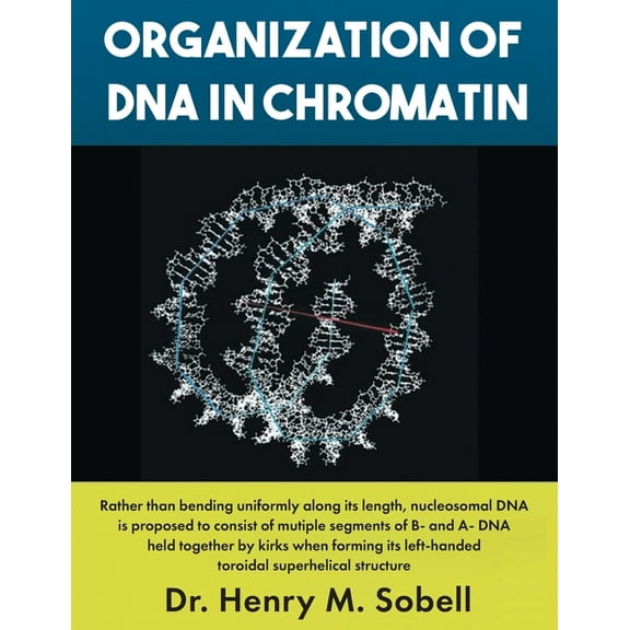 Organization of DNA in Chromatin, (Paperback)