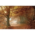 thumbnail image 3 of Vila , Toni 14x11 Black Modern Framed Museum Art Print Titled - Autumn Dream, 3 of 5