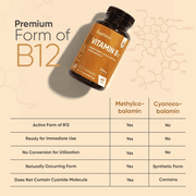 WeightWorld Vitamin B12 Methylcobalamin Tablets 1000 mcg, Energy & Nervous System Support, Vegetarian, 450 Count