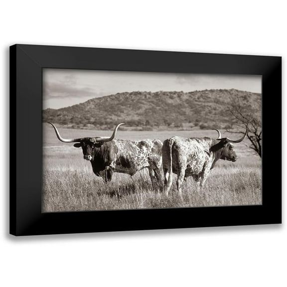Fitzharris, Tim 14x11 Black Modern Framed Museum Art Print Titled - Longhorn cattle Sepia