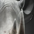 thumbnail image 4 of FREEAMG Grey Rhinoceros Shower Curtain Waterproof Fabric with 12 Hooks Bathroom Decorative Bath Curtain Set Polyester Fabric Machine Washable 60 x 72 Inch, 4 of 6