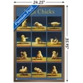 thumbnail image 3 of Lucia Heffernan Art - Yoga Chicks Wall Poster, 22.375" x 34" Framed, 3 of 6
