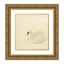 Aert Schouman 15x16 Gold Ornate Wood Frame and Double Matted Museum Art Print Titled - Knobbelzwaan (1720 - 1792)