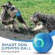 thumbnail image 2 of Vibrating Dog Ball, Moving Dog Ball, USB Rechargeable Shaky Ball Toy for Dogs, Interactive Dog Bouncing Ball, Automatic Moving Dog Toy Ball 26-27s, 2 of 5