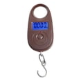 thumbnail image 1 of 25Kg/5g Mini Balance Numérique Électronique de Pêche Poids de Bagages Balances Suspendues Mini Balance de Pesée, Multiples Fonctions, 1 of 6