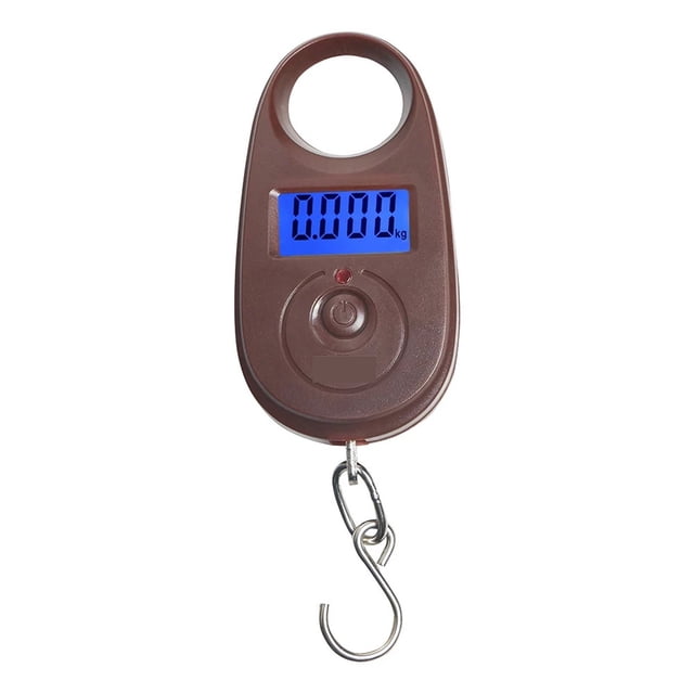 25Kg/5g Mini Balance Numérique Électronique de Pêche Poids de Bagages Balances Suspendues Mini Balance de Pesée, Multiples Fonctions