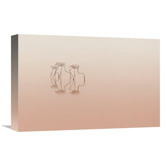 Global Gallery Natalia Rublina,'Pink Silence' Stretched Canvas Artwork