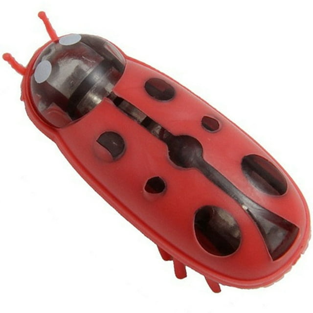 Bangcool Kitten Play Toy Ladybird Automatic Funny Kitten Chasing Toy Cat Interactive Toy