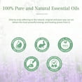 thumbnail image 5 of PHATOIL 100ML Citronella Essential Oils Great for DIY Candle and Soap Making, 5 of 7
