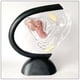 thumbnail image 5 of modelos uterinos Modelo uterino, modelo anatómico, estructura ovárica detallada, modelo de sistema reproductivo femenino para herramientas de demostración , Fanmusic modelos uterinos, 5 of 6