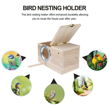 SunGrow Natural Coconut Shell Nest & Hanging Bird House with Ladder ...