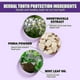 thumbnail image 5 of V34 Whitening Tooth Powder Teeth Removal Yellow Stain Oral Cleaning Fresh, 5 of 5