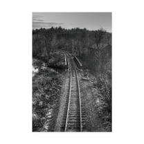 Trademark Fine Art 'Lonely Tracks Grayscale' Canvas Art by Ian Tornquist