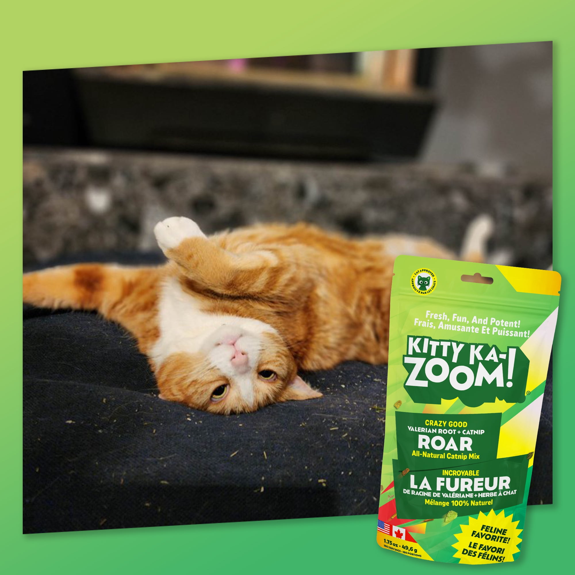 Kitty Ka Zoom Roar Mélange d'herbe à chat, de racine de valériane et d'herbe à chat pour chats, sachet refermable de 49,6 g (1,75 oz).