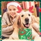 thumbnail image 3 of Bandanas Newwiee Christmas, 100 unidades, para mascotas, gatos y perros, 3 of 6