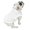 White, variant on English Bulldog BIGGER THAN BEEFY Hoodie T-Shirt - Fits 56 to 80 Pound Dog - Available in 6 Colors!