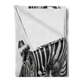 thumbnail image 2 of Animal Soft Flannel Fleece Throw Blanket, Zebras Wildlife Burchell Safari Theme National Park Monochrome Picture, Cozy Plush for Indoor and Outdoor Use, 50" x 60", Black White, by Ambesonne, 2 of 5