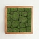 thumbnail image 5 of alfombrillas de musgo, panel de pared de musgo, decoración de pared de musgo artificial, musgo de jardín artificial, decoración de paisaje, 5 of 7