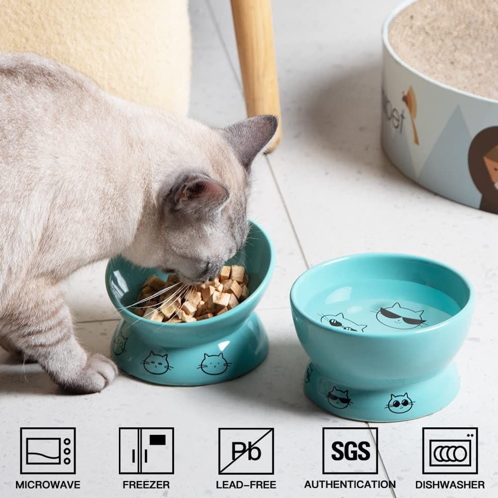 SWEEJAR Raised Cat Bowls Set, Tilted Food Bowl and Deep Water Bowl, Ceramic Pet Bowl Collection for Cats and Small Dogs, Set of 2 (Turquoise)