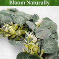 thumbnail image 5 of Eucalyptus Wreath Farmhouse Decor, Green Wreath Front Door Farmhouse Artificial Wreath Spring Summer, 5 of 5