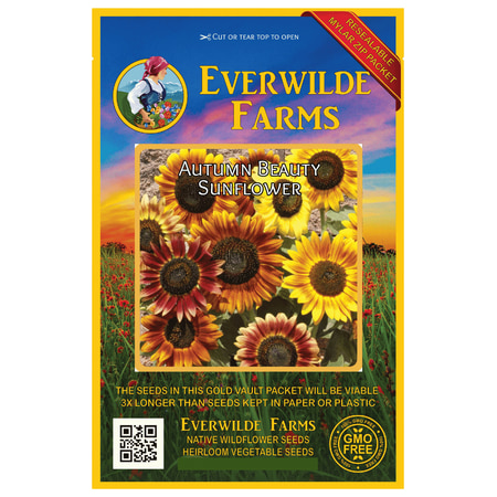 Everwilde Farms - 100 Autumn Beauty Sunflower Garden Flower Seeds - Gold Vault Jumbo Bulk Seed (Best Sunflower Seeds To Plant For Doves)