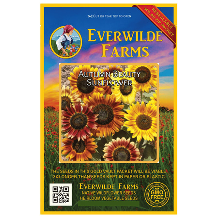 Heritage Farms Metal Seed - Everwilde Farms - 100 Autumn Beauty Sunflower Garden Flower Seeds - Gold Vault Jumbo Bulk Seed Packet
