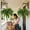 38-leaf, variant on Large Artificial Boston Fern for Outdoors, UV Resistant Fake Ferns for Hanging Baskets & Porch, 28/38/60/88 Fronds Lifelike Faux Fern Plants Bundles, Outdoor/Indoor Decor, No Pot (2, 38-Leaf)