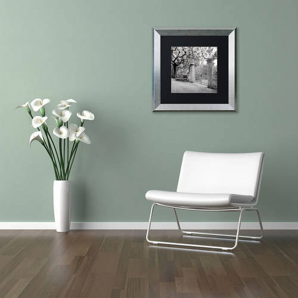 Trademark Fine Art "Firenze I" Canvas Art by Alan Blaustein, Black Matte, Silver Frame
