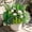 Flowers and Greenery Mix, variant on Outdoor Faux Plants UV Resistant - 12 Bouquets Realistic Artificial Monkey Grass Greenery for Patio Garden Front Porch Decor Weatherproof Fake Plants for Outside