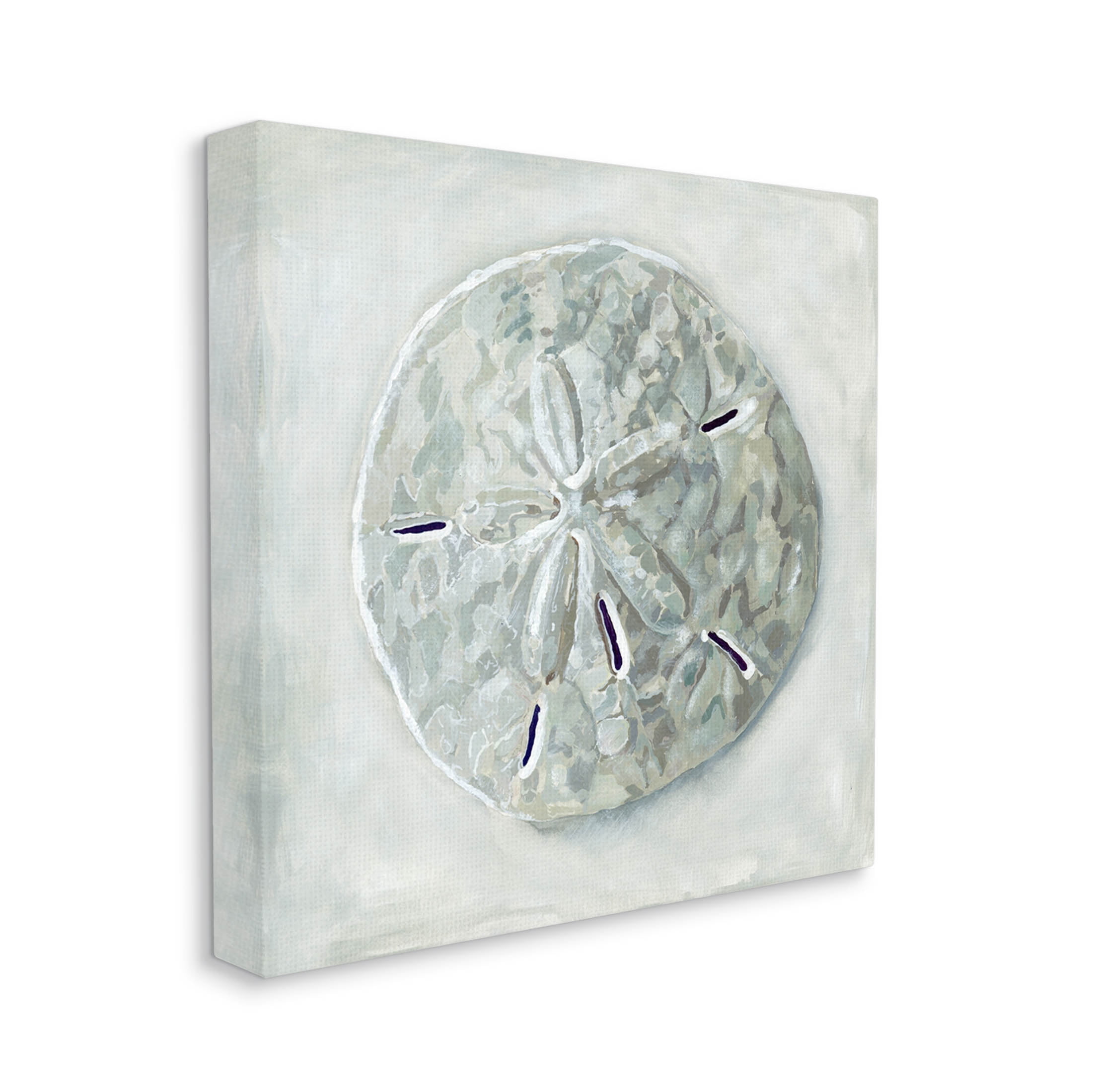 Stupell Industries Sand Dollar Seashell Painting Gallery Wrapped Canvas Print Wall Art, Design by Erica Christopher