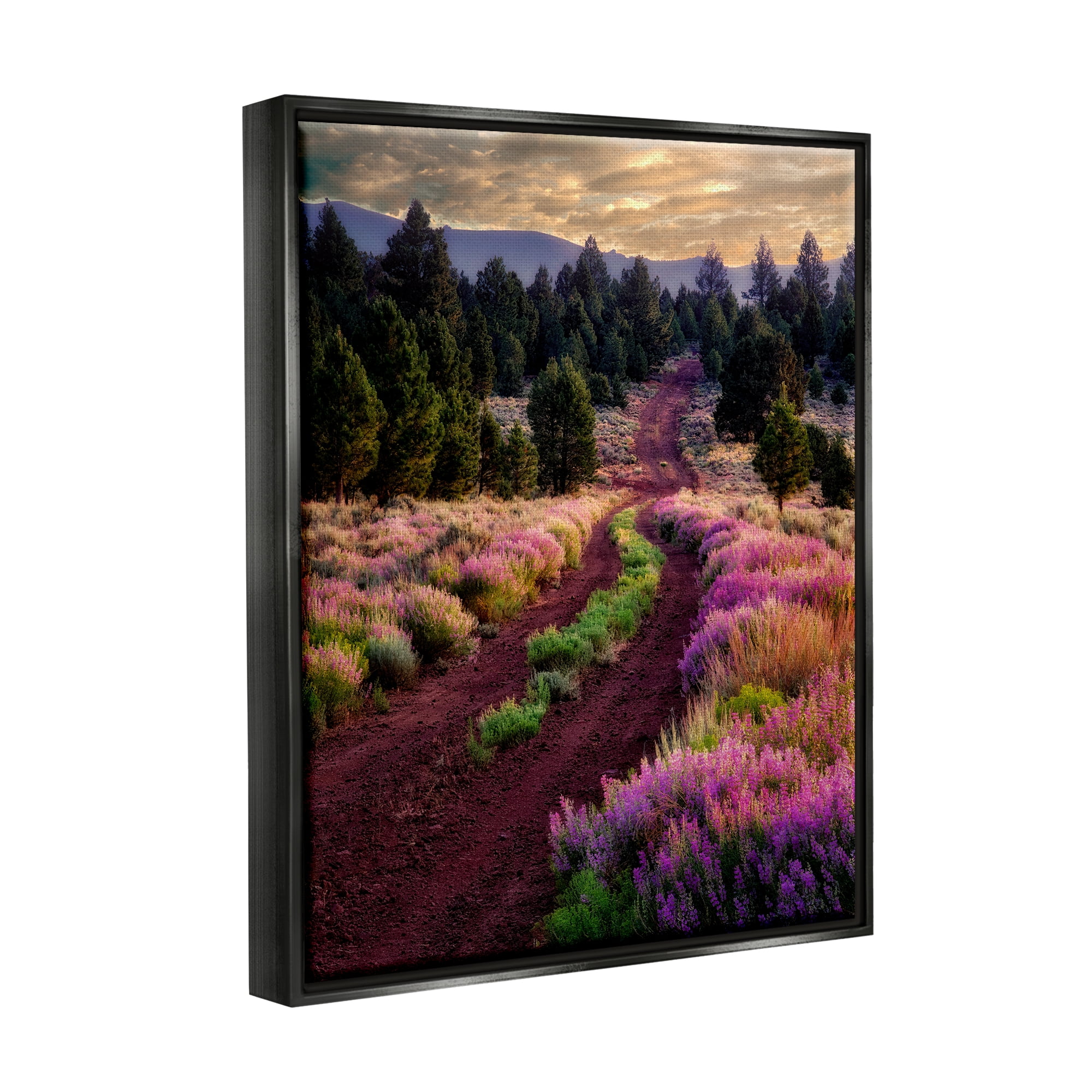 Stupell Industries Pink Blooming Meadow Landscape Landscape Photography Black Floater Framed Art Print Wall Art
