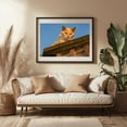 thumbnail image 3 of Curious Cat on the Lookout, York County PA - Pennsylvania Photography Cat Animal Wildlife Portrait Rustic Nature Farmhouse Black Framed Wall Art Print 24 x 36 inches, 3 of 4
