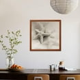 thumbnail image 5 of Crystal Harbor #18 Framed Print Wall Art By Alan Blaustein, 5 of 5