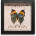 thumbnail image 1 of HUGFEGWE Butterfly Specimens in Shadow Box Butterflies Insect Specimen Real Butterfly Framed Home Decor Ornament for Wall Shelf Table Display Aesthetic Handmade Craft Gift CA919-133404, 1 of 7