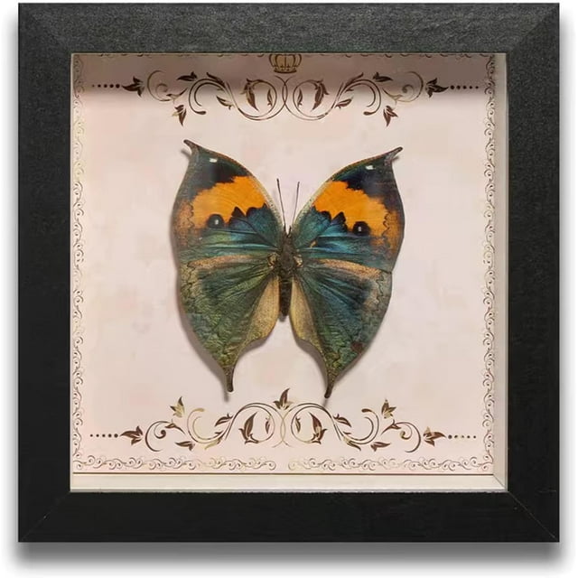 HUGFEGWE Butterfly Specimens in Shadow Box Butterflies Insect Specimen Real Butterfly Framed Home Decor Ornament for Wall Shelf Table Display Aesthetic Handmade Craft Gift CA919-133404