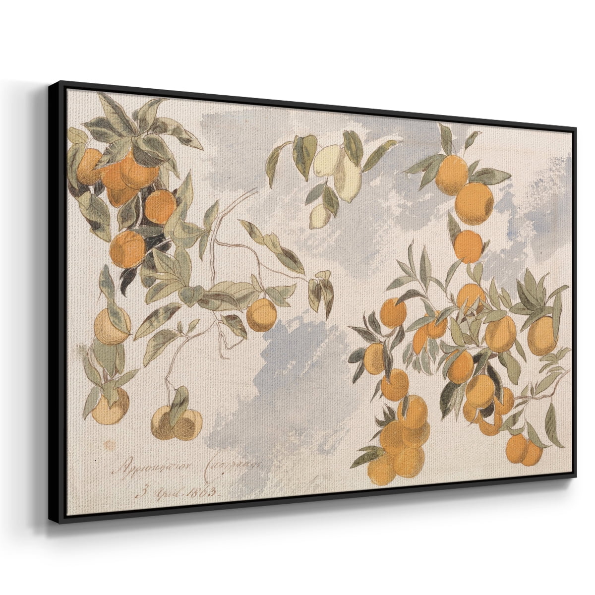 Vintage Botanical Print-IV By Wexford Home Framed in Black Wood Gallery Wrapped Canvas 17 in. x 25 in.