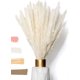 thumbnail image 1 of Fluffy Pampas Grass Dried 15 piezas - Flores secas - Natural, sostenible y fácil de limpiar - Decoración elegante Ormromra MZQ-0839-1, 1 of 8